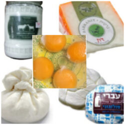 Яйца , Молочные продукты , нарезка копчёного Лосося и Икра.